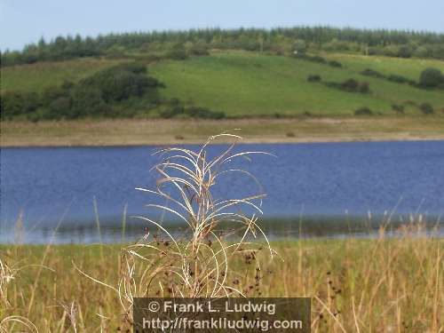 Lough Nasool, County Sligo